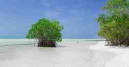 Cayo Coco